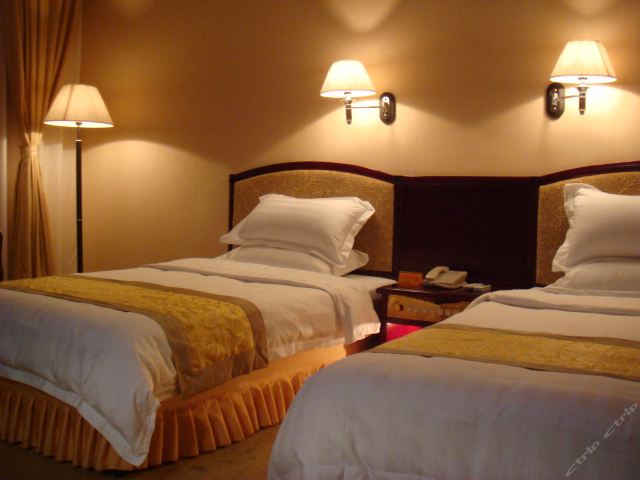 成都新津丽津酒店-商务标间