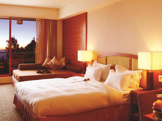 嘉义阿里山宾馆(alishan house)-贵宾客房(四人入住)(持中国身份证及