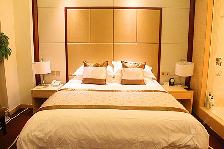 聊城兴华大酒店-普通大床间