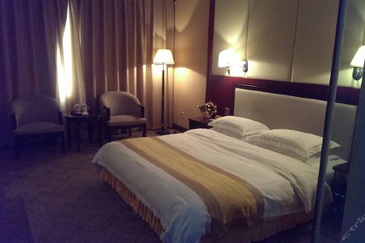 成都新津丽津酒店-豪华单间