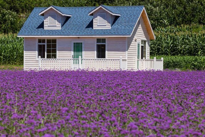 北京花海木屋-一室一厅(特惠)(双人入住)