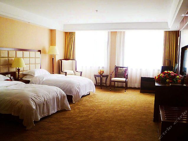 宕昌龙海大酒店-标间