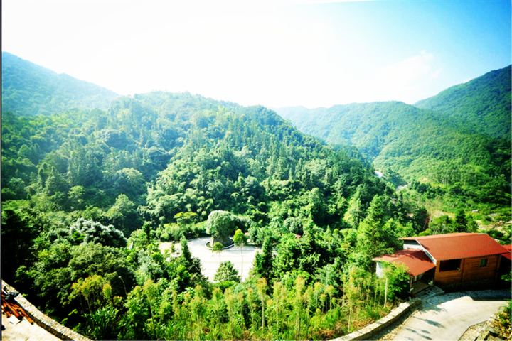 安溪桫椤谷风景区