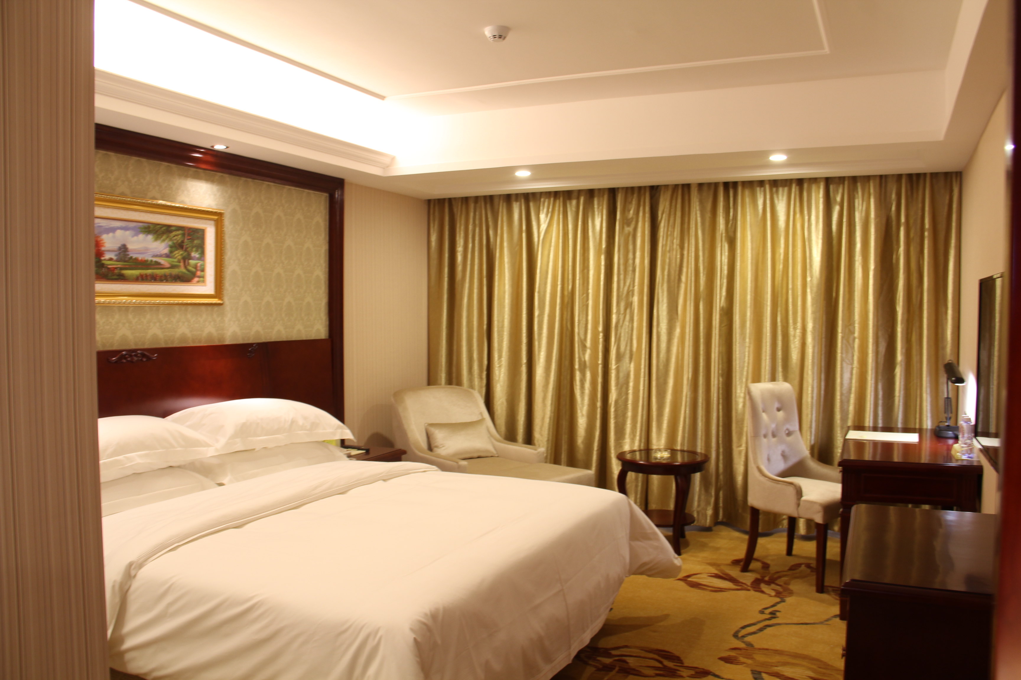 维也纳酒店-豪华单人房