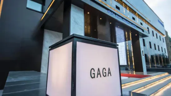 Gaga Times Boutique Hotel