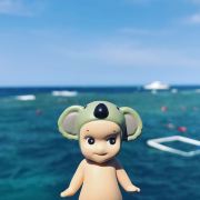 (原翠域·木竹坞度假别墅)#可以带狗吗?不大,法