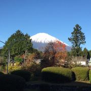 #锦江之星(青岛沧口公园店)#1.请问酒店有免费