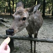 #漫画胶囊酒店京都漫画卡普酒店#环境怎么样