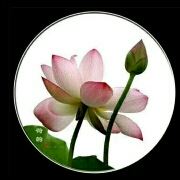 我在携程订的两张济南到长春机票,由于本人是