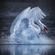 #长沙异国风情御尊酒店#酒店网速快不快?在线