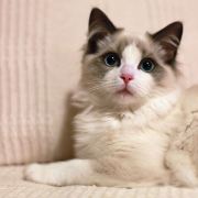 #香港观塘丽东酒店(NEWTON PLACE HOTEL