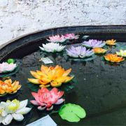 #双鸭山松江国际大酒店#酒店住宿收取停车费