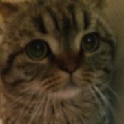 我订错酒店时间,但订单显示已确认,不可取消怎