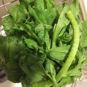 #澳门葡京酒店(Hotel Lisboa)#从关口到酒店 小