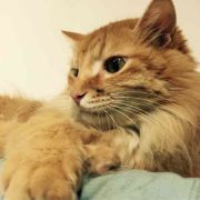 #香港如心海景酒店暨会议中心#酒店里有充电