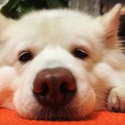 #梵花轻奢度假公寓(成都天府广场春熙路太古里