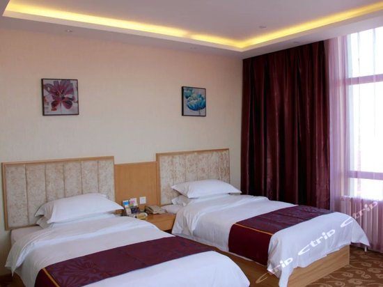 双鸭山友悦主题宾馆