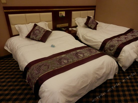 online reservation | ctrip