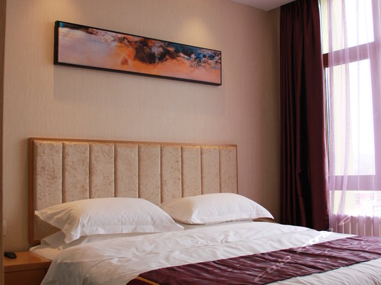 双鸭山友悦主题宾馆