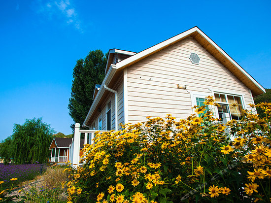 北京密云花海木屋1晚,酒店位于人间花海薰衣草·人间花海,邂逅浪漫