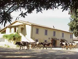 Biobagnolese Agriturismo