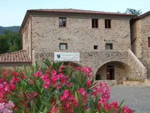 Agriturismo LucchettiFerrari