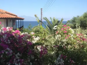 Villa Sofia