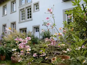 Alte Apotheke Bed & Breakfast