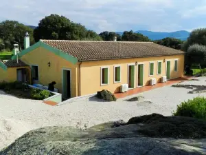 Chicchiritanos