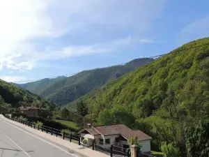 Posada Maximo