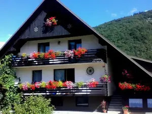 Apartments Zorč