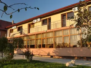 Pension Andronic
