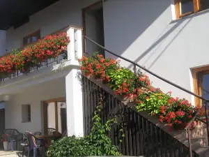 Apartments Wojcicky