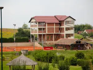 Pansion Budimir