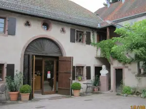 Tilly's B&B and Apartment House