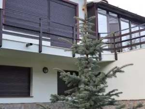 Ski & Adventure Vila