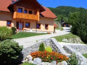 Apartments Trebušak