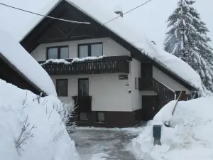 Apartments Koblar