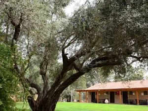 Kibbutz Gadot Galilean Resort