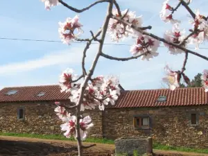 Quinta Dos Baldo