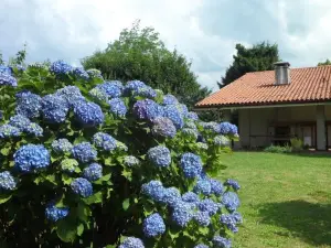 B&B Cuei di Baret