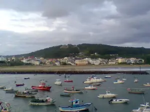 Las Palomas