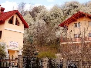 Pensiunea Ambiance