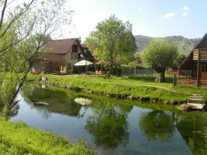 Pensiunea Liliana