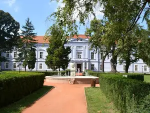 Hotel Kastiel Mojmirovce