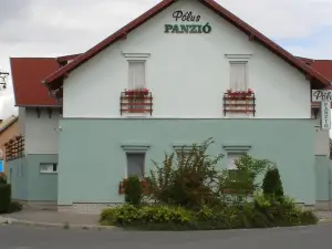 Polus Pension