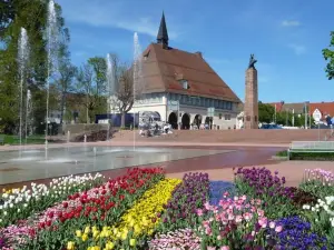 Schwarzwald-Ferienwohnungen Begert