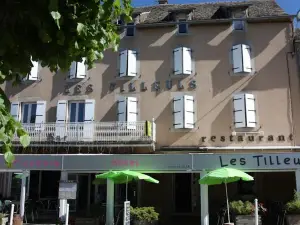 Hôtel les Tilleuls de Pareloup à Salles-Curan