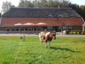 B&B de Luttikhoeve