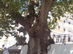 Ruralguejar